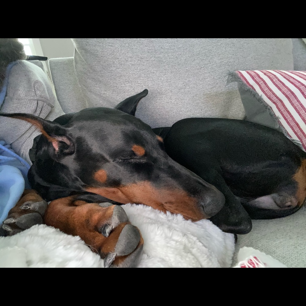 Meet your Posher, Reiley